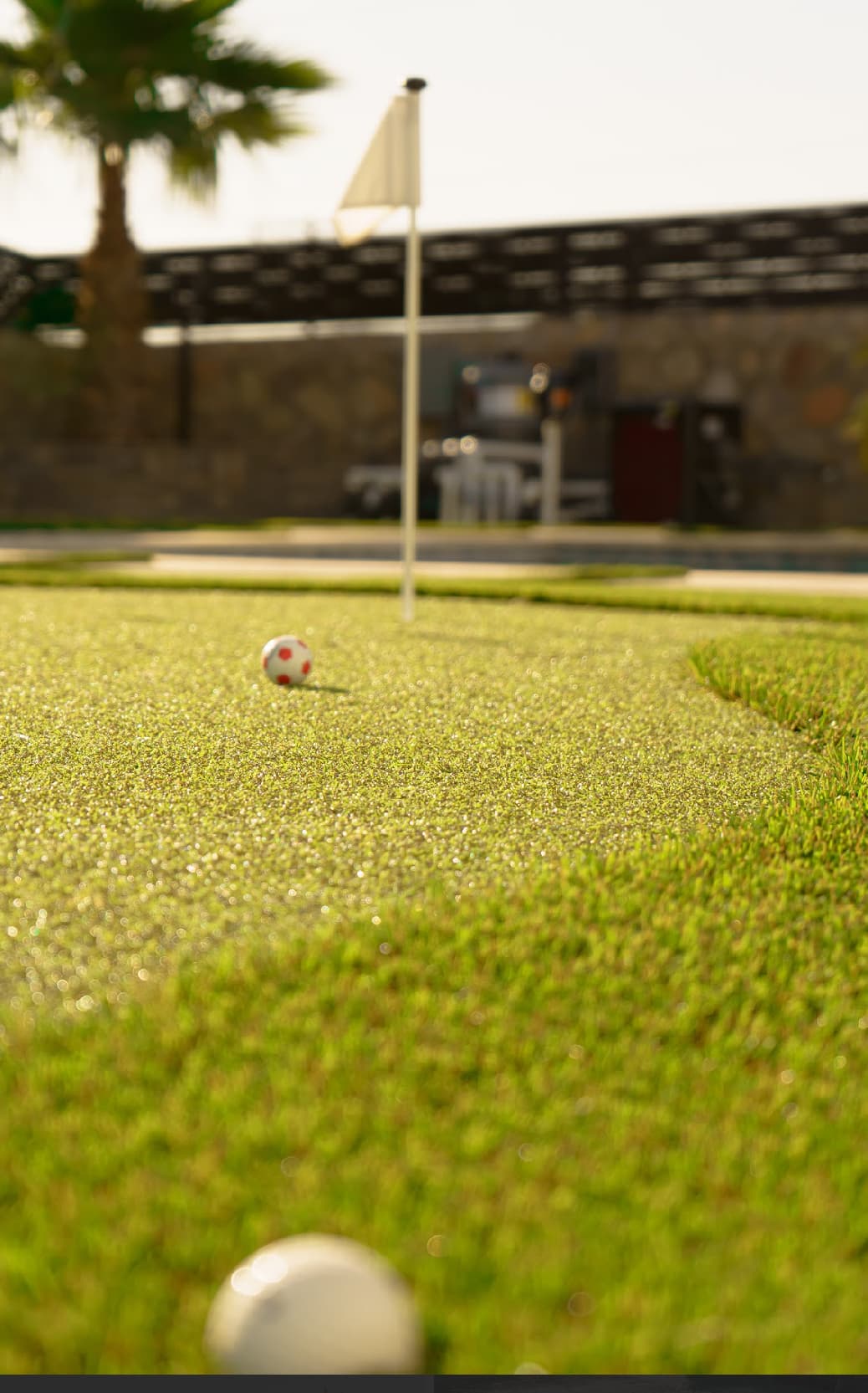 Turf Installation & Maintenance
