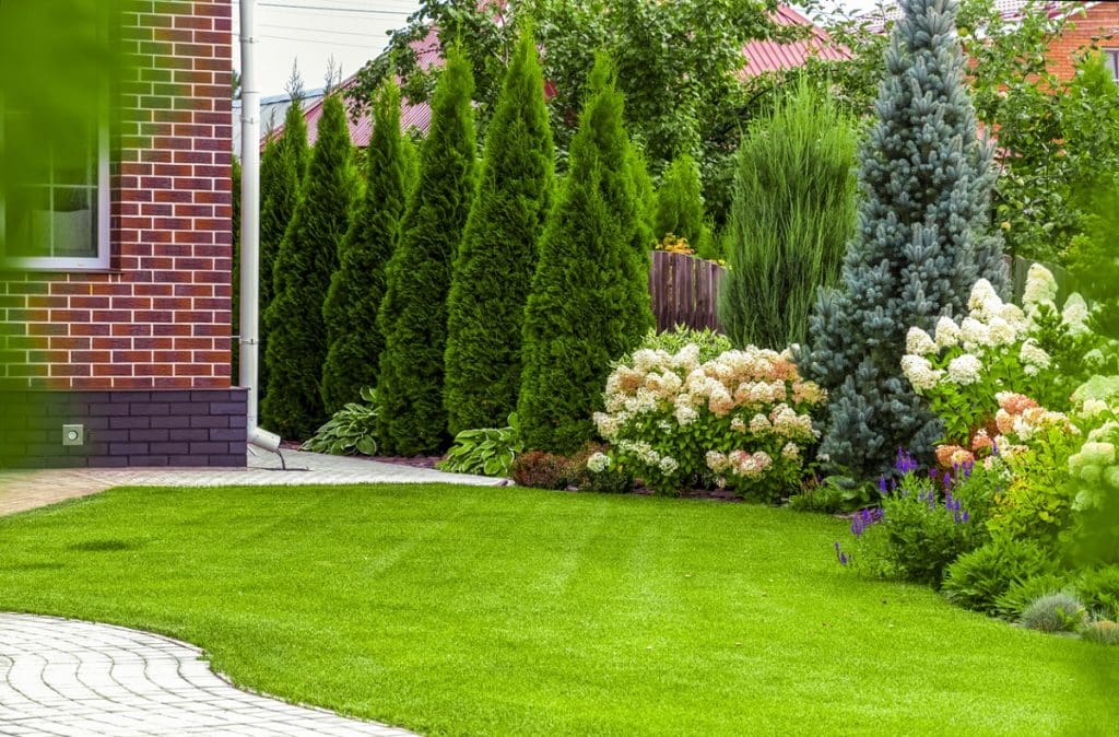 backyard of a private house